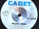 NORTHERN SOUL 45 - JEAN DuSHON - FEELING GOOD Cadet PROMO 1Sided M- Hear