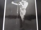 QUEEN : 1979 Original Freddie Mercury Crazy Tour Live Photo 10