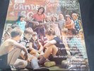 Vinyl record LP Album THE WORLD OF CAT STEVENS (12)