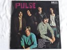 PULSE LP,, PULSE. Original MAJOR MINOR label 1969 LP. Nr MINT... Psych/Blues.