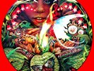 Spyro Gyra   picture disc record 12