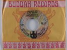 Crossover Soul 45 MOTHERLODE What Does It Take (To Win Your Love) BUDDAH HEAR