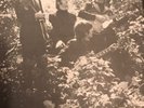 The Beatles BEAT Red Vinyl Demo LIDDYPOOL 1964