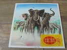 Elvis Costello & The Attractions - Armed Forces 1979 UK LP RADARSCOPE 1st + 45