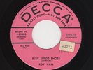 '58 Classic Rockabilly ROY HALL Blue Suede Shoes/Luscious DECCA VG++ DJ HEAR