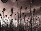Dead Can Dance Anastasis CLEAR NEAR MINT PIAS America 2xVinyl LP