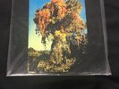 RARE - SEALED - We All Together - We All Together (LP, Album, RE)  Label:Lazarus