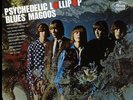 Blues Magoos - Psychedelic Lollipop