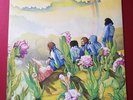 Harmonium - Si on avait besoin d'une cinquième saison Five Seasons Prog Folk NM