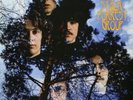 Stalk Forrest Group Sealed ORIG OZ ST LP 2017 Blank Blue Oyster Cult Rock