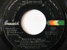 JACKIE WILSON-BECAUSE OF YOU ON BRUNSWICK NORTHERN 45-STRONG VG+, HEAR