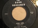 THE DARK HORSEMEN   YOU LIED   Rare Orig. Private  FL 1966 GARAGE / PSYCH 45