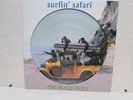 THE BEACH BOYS Surfin Safari Picture Disc VINYL LP EU Import DOL 2017