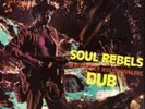 Bob Marley and The Wailers-Soul Rebels Dub Vinyl / 12