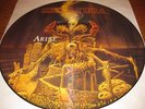 Sepultura-Arise Picture-LP,Roadracer UK 1991,sehr rar,limited,excellent,