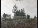 Damien Jurado - Saint Bartlett Vinyl LP Secretly C NEW