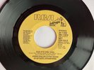 JAMES WALSH GYPSY BAND: Cuz it's you girl (demo)
