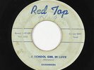 Doo-Wop 45 - Sharmeers - A School Girl In Love - Red Top - mp3 - rare