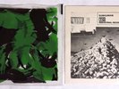 S743. THROBBING GRISTLE Subhuman/Something Came Over Me 7