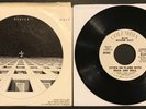 Blue Oyster Cult Cities On Flame With Rock and Roll Mono/Stereo WL Promo