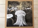 Radiohead Pyramid Song Vinyl 12