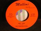 NORTHERN SOUL RARITY-THE PENETRATIONS-HEY GIRL