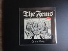 THE FEMS (BUFFALO PUNK) Go To A Party RARE PRIVATE 45 7