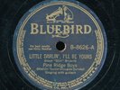 78tk-Hillbilly-BLUEBIRD 8626-Pine Ridge Boys  (Whitehouse Blues)