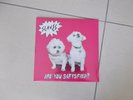 SLAVES - Are You Satisfied?  (LP) - VINYL -  NEW - SEALED