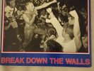 YOUTH OF TODAY - BREAK DOWN THE WALLS - WISHING WELL RECORDS - 1ST ORIGINAL