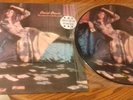 DAVID BOWIE - Man Who Sold the World -Picture Disc Vinyl LP