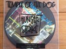 Temple Of The Dog - Hunger Strike 7