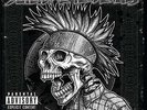 Suicidal Tendencies-Still Cyco Punk After All Thes (US IMPORT) VINYL NEW