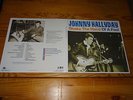 JOHNNY HALLYDAY - SHAKE THE HAND OF A FOOL / BEAR-FAMILY 180g 2-LP-SET 2018