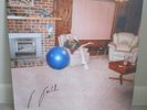 JULIA JACKLIN DON'T LET THE KIDS WIN ORIG 2016 TRANSGRESSIVE BLUE VINYL SIGNED