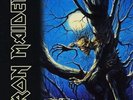 Iron Maiden - Fear Of The Dark Vinyl 2LP NEU 0554341
