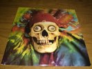 The Warlocks 20th Anniversary 2LP (Grateful Dead) MINT  Very Rare  OOP