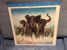 Lp Original Master Recording. Nuevo. Elvis Costello. Armed Forces. 180 Gramos