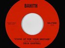 Funk/Deep Soul 45 - Delia Gartrell - Stand Up For Your Brother - Bahith VG++ mp3