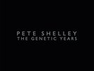 PETE SHELLEY - GENETIC YEARS (BOX SET) 3 VINYL LPs - POST BUZZCOCKS - HOMOSAPIEN