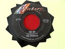 SPARKLES  THE HIP  OH GIRLS GIRLS  HICKORY  RARE  A KILLER SOUND   GARAGE 45