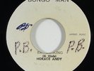Horace Andy 