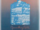 Psych Rock 45 GROUNDHOGS Split UNITED ARTISTS + w/press release pic sleeve HEAR