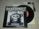 AGATHOCLES VNA Split EP Morally Wrong Paterini Anal Cunt OLD Extreme NoiseTerror