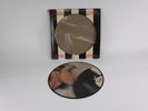 BLONDIE PARALLEL LINES VINYL RECORD ALBUM PICTURE DISC