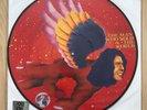 David Bowie RARE Man Who Sold The World Record Store Day Picture Disc Vinyl LP
