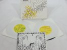 Picking More Flowers Cap N Jazz Mike Kinsella American Football 2x 45 rpm Vinyl
