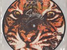 Survivor ?– Eye Of The Tiger 7