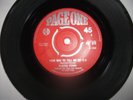 PLASTIC PENNY/PSYCHEDELIC CLASSIC/ YOUR WAY TO TELL ME GO/PAGE ONE/1968/