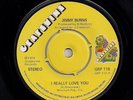 NORTHERN SOUL 45 JIMMY BURNS - I REALLY LOVE YOU / I LOVE YOU GIRL - GRAPEVINE